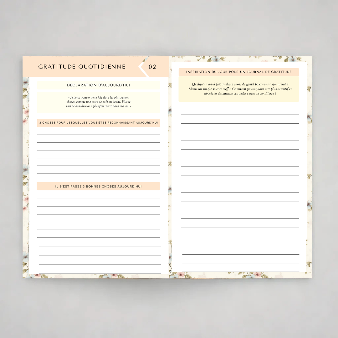 eBook Merveilleux Journal de Gratitude