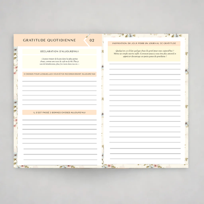 eBook Merveilleux Journal de Gratitude