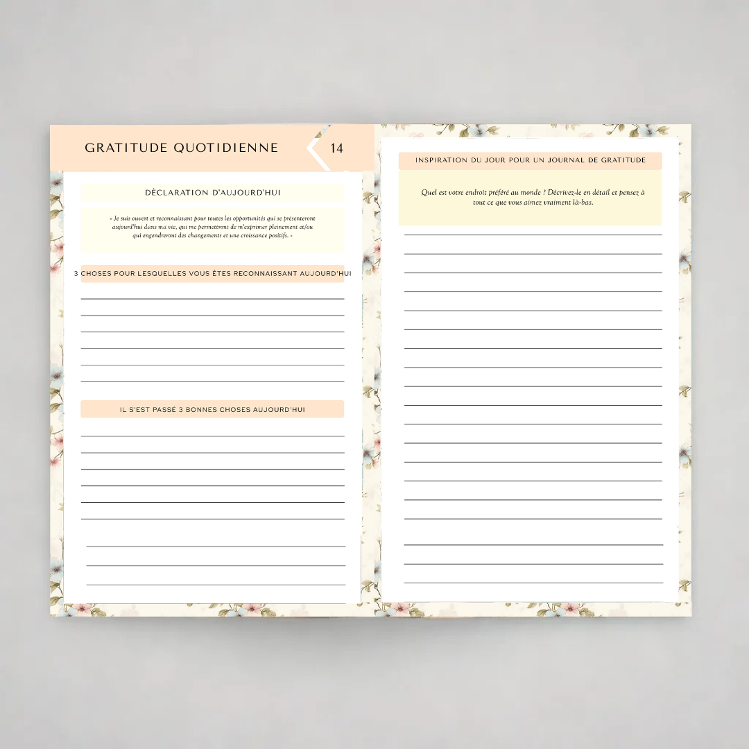 eBook Merveilleux Journal de Gratitude