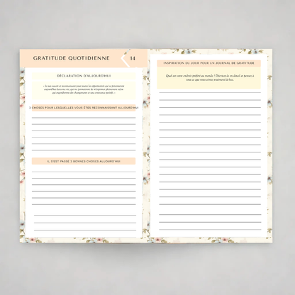 eBook Merveilleux Journal de Gratitude
